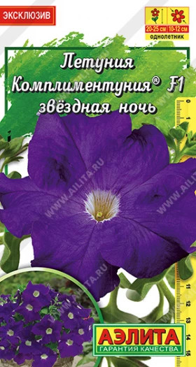Звездная ночь крупноцветковая Ц(А)