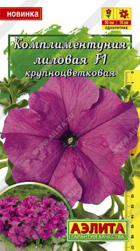 Лиловая крупноцветковая Ц(А)