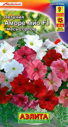 Аморе Мио, смесь Ц(А)