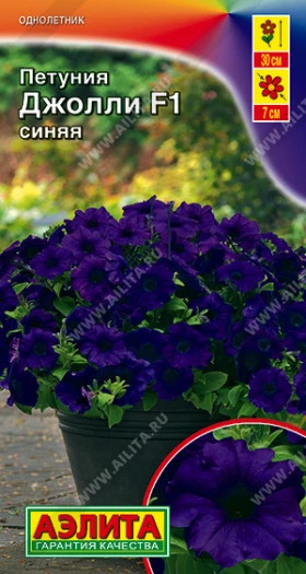 Джолли синяя Ц(А)