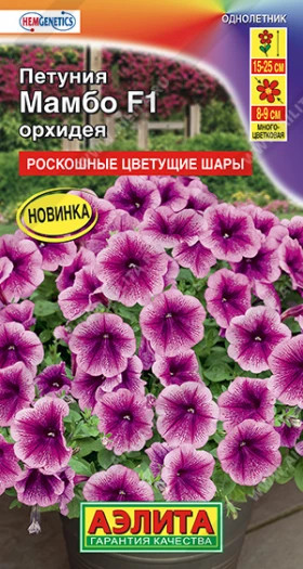 Мамбо орхидея Ц(А)