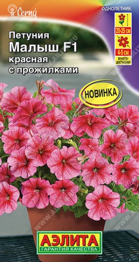 Малыш красная с прожилками мини многоцв Ц(А)