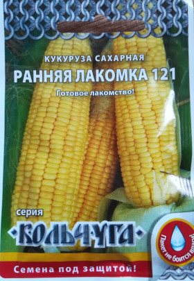 Ранняя лакомка Кольчуга