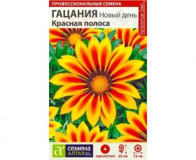 Новый день Красная полоса Ц(Алт)