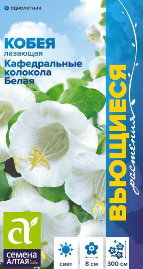 Кафедральная колокола белая лазающая Ц(Алт)