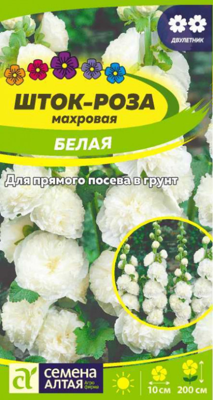 Белая Ц(Алт)