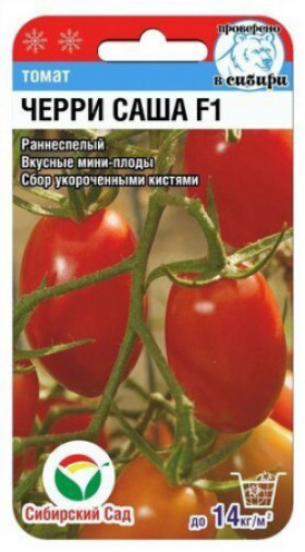 Черри Саша СС