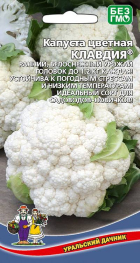 цветная Клавдия Ц(УД)