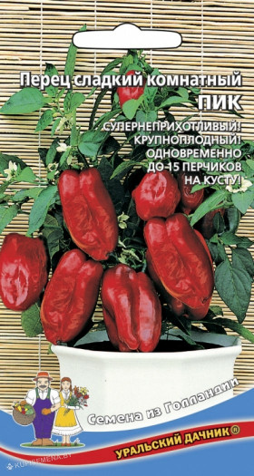 Комнатный Пик сладкий Ц(УД)