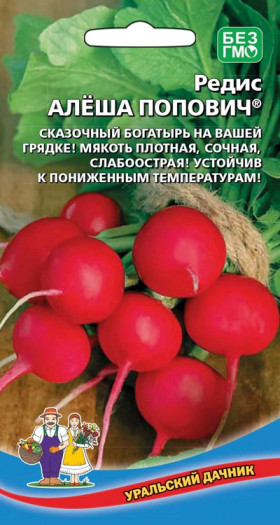 Алеша Попович Ц(УД)