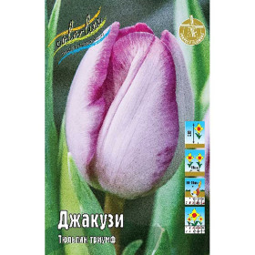 Джакузи 11/12 (триумф) 7шт