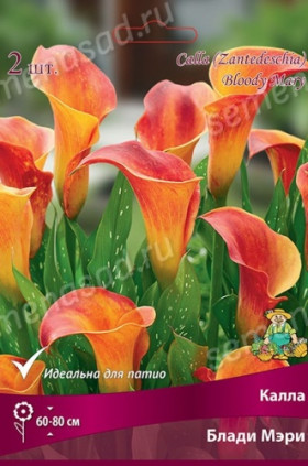 Блади Мэри 2шт Поиск