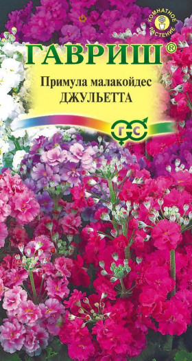 Джульетта Ц(Г)