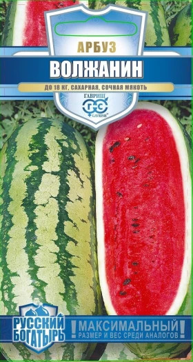 Волжанин 1г  Ц(Г)