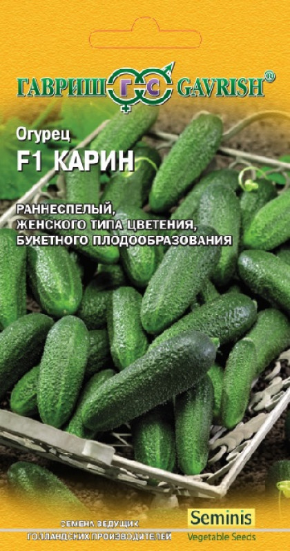 Карин Ц(Г)