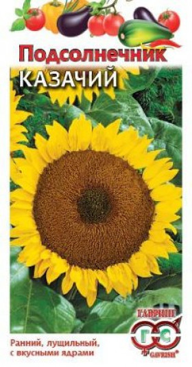 Казачий Ц(Г)