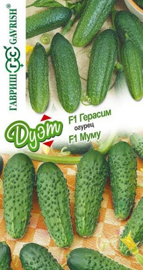 Герасим+ Муму Ц(Г)