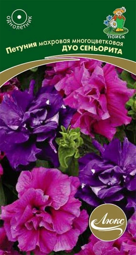 Дуо Сеньорита Ц(Поиск)