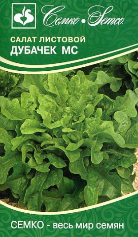 Дубачек Семко