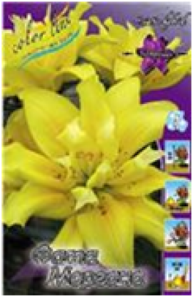 Фата Моргана (азиат махр) 5шт