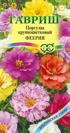 Феерия махровый Ц(Г)