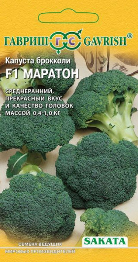 брокколи Маратон 10шт Ц(Г)