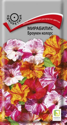 Броукен колорс Ц(Поиск)