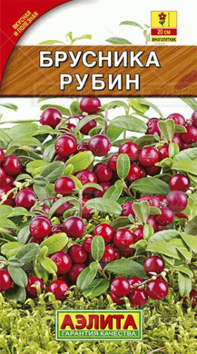брусника Рубин Ц(А)