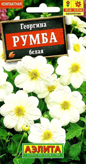 Румба белая Ц(А)