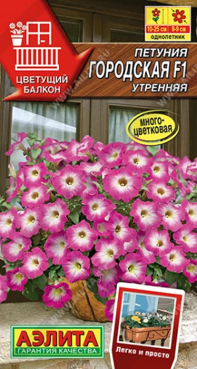 Городская утренняя F1 Ц(А)