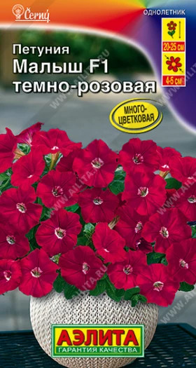 Малыш темно розовая мини многоцв Ц(А)