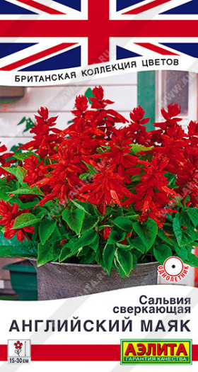 Английский маяк сверкающая Ц(А)