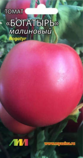 Богатырь малиновый /Мязина