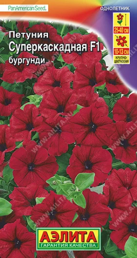 Суперкаскадная бургунди Ц(А)