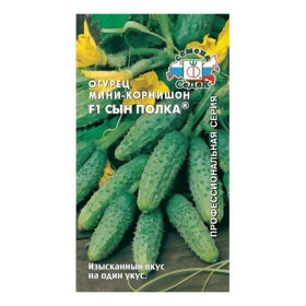 Сын Полка Ц(С)