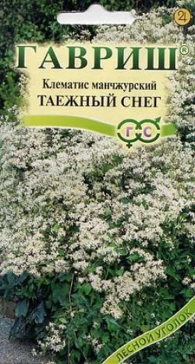 Таежный снег манчжурский Ц(Г)