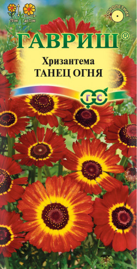 Танец Огня Ц(Г)