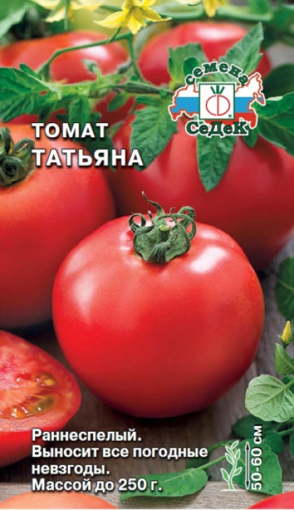 Татьяна Ц(С)