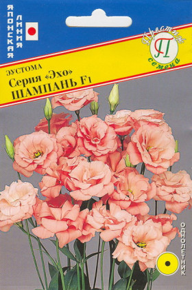 Эхо шампань 10др Ц(П)