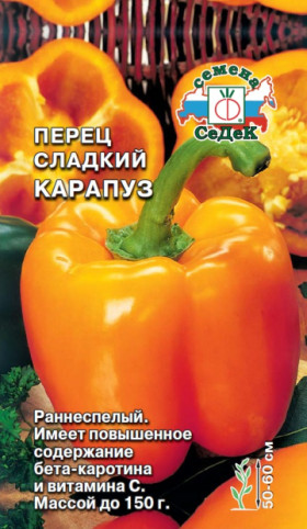 Карапуз Ц(С)