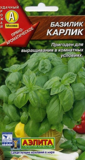 Карлик Ц(А) базилик