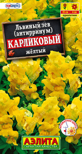 Карликовый желтый Ц(А)