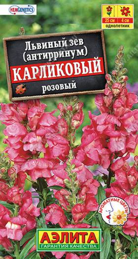 Карликовый розовый Ц(А)