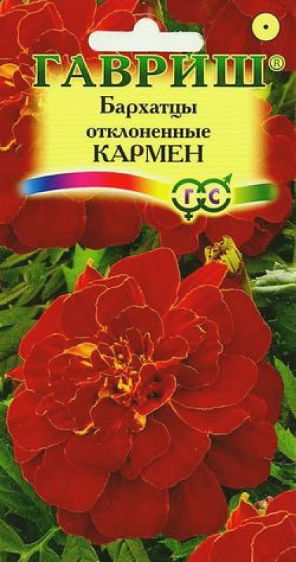 Кармен Ц(Г)