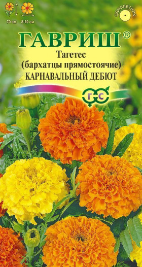 Карнавальный дебют Ц(Г)