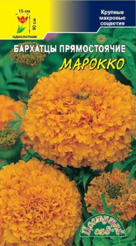 Марокко/Цветущий Сад