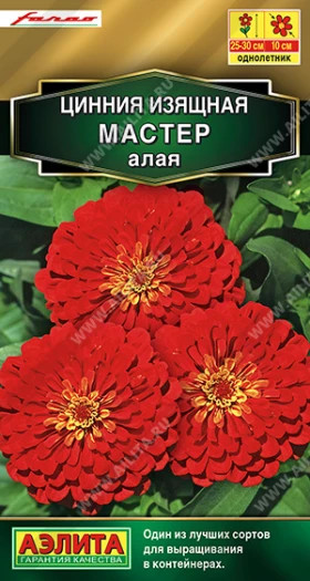 Мастер алая Ц(А)