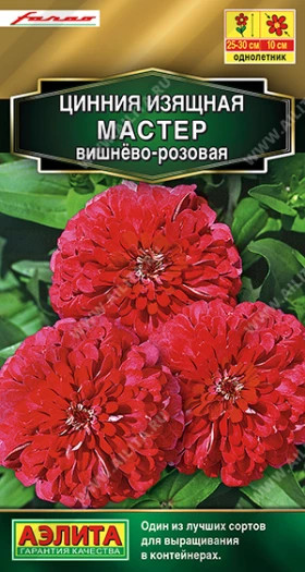 Мастер вишнево-розовая Ц(А)