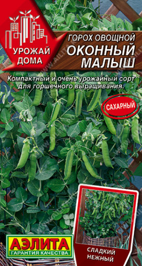 Оконный малыш Ц(А)