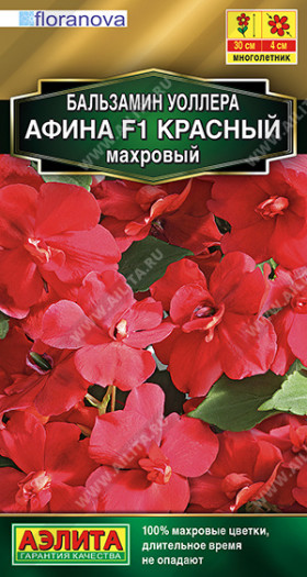 Афина красный махровый Ц(А)